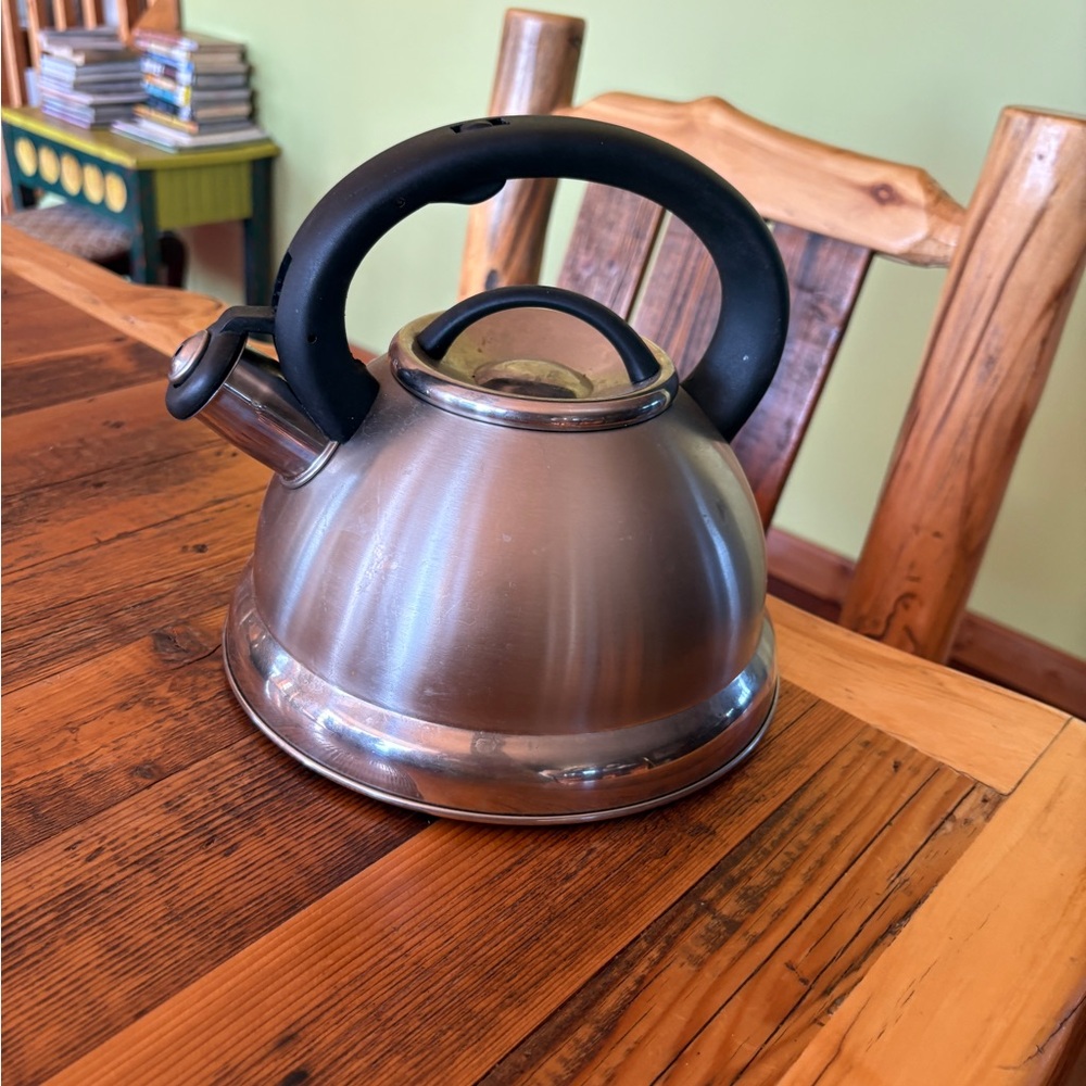 Stainless Steel Whistling Tea Kettle with Black Handle